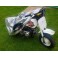 Z50 Mini Trail Cover